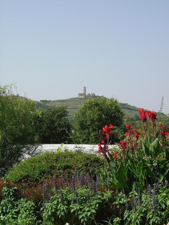 Il Belvedere Di Roccavo Villa Castiglion Fiorentino Dış mekan fotoğraf