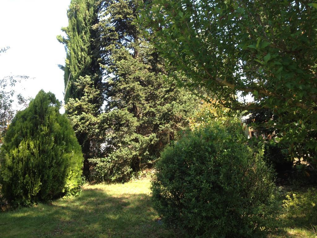 Il Belvedere Di Roccavo Villa Castiglion Fiorentino Dış mekan fotoğraf